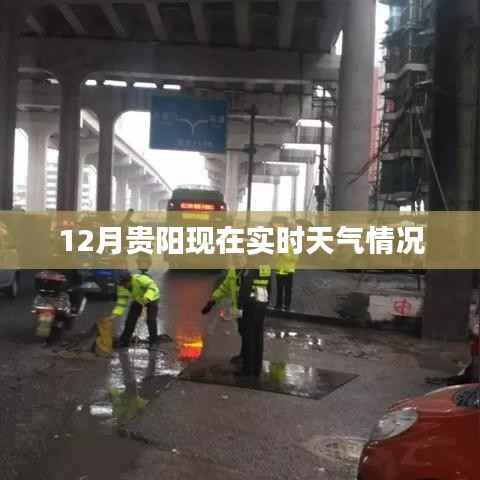 忠心耿耿 第5页