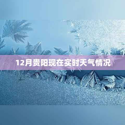 贵阳12月实时天气概况