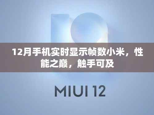 12月小米实时帧数显示,性能之巅体验