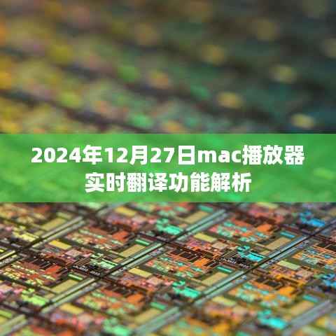 Mac播放器实时翻译功能解析(日期标注)