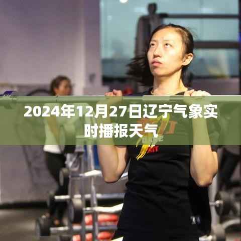 辽宁气象实时播报,最新天气更新(日期,2024年12月27日)