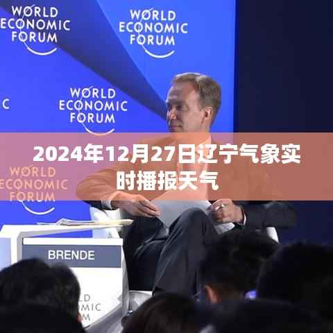 辽宁气象实时播报,最新天气更新(日期,2024年12月27日)