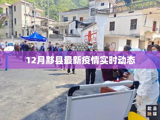 黟县最新疫情实时动态更新，十二月最新消息