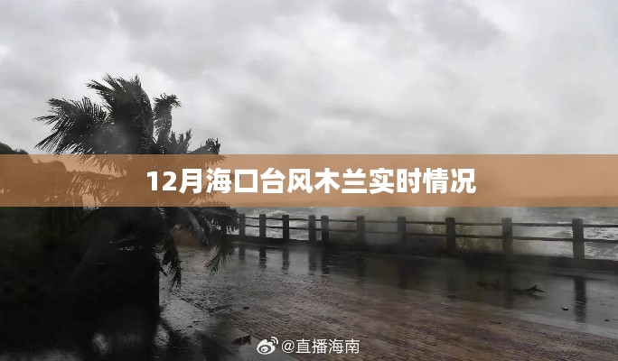 海口台风木兰最新实时动态