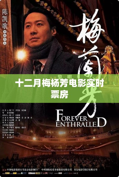 十二月梅杨芳电影票房实时数据