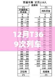 T369次列车实时动态查询（最新更新）