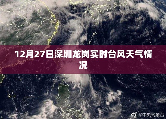深圳龙岗台风实时更新，最新天气情况报告