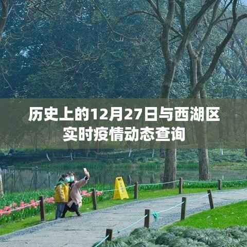 历史上的西湖区疫情动态与实时疫情查询