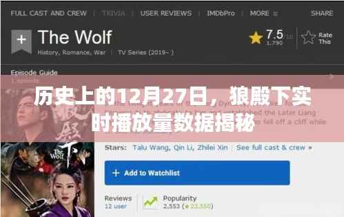 狼殿下实时播放量揭秘,历史数据回顾与深度分析