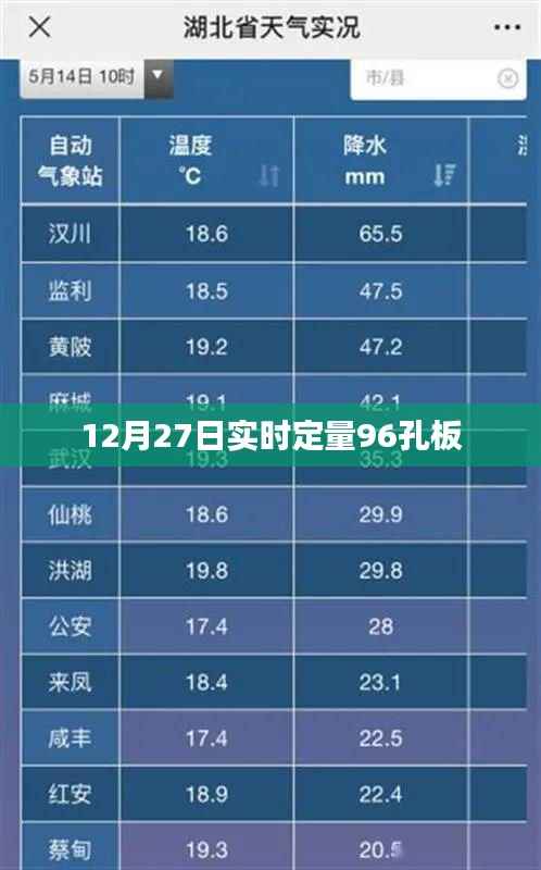 实时定量PCR检测,96孔板实验操作指南