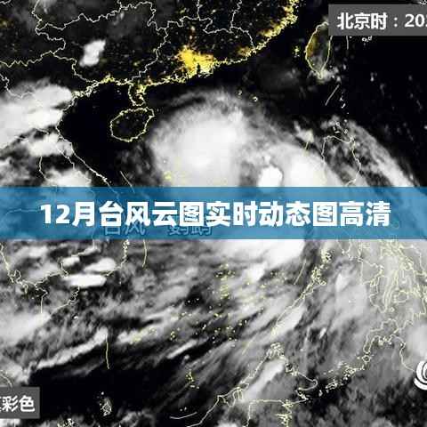 台风实时动态高清云图，掌握天气变化