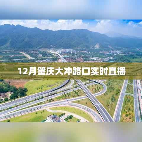 日就月将 第4页