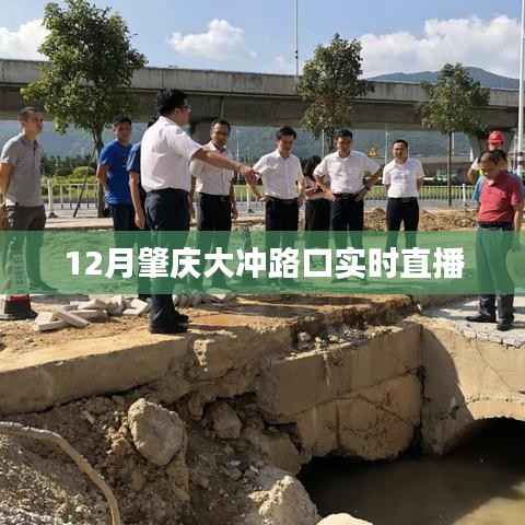 肇庆大冲路口12月实时直播情况