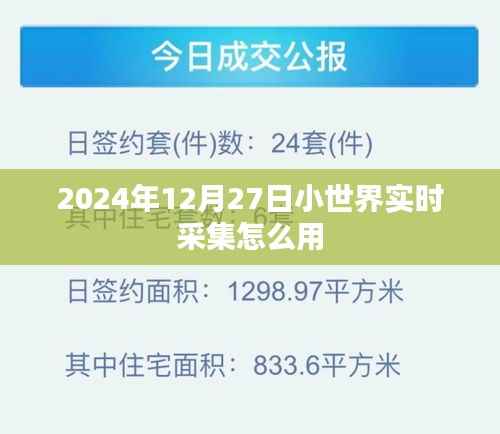 2024年小世界实时采集功能使用指南