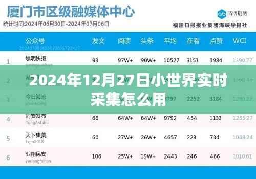 2024年小世界实时采集功能使用指南