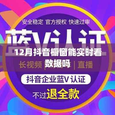 抖音橱窗12月数据实时查看功能介绍