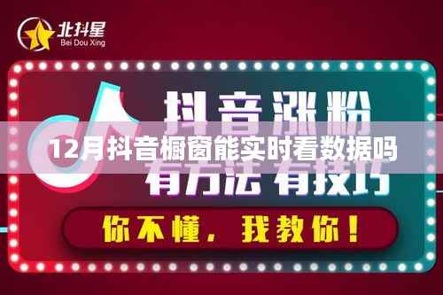 抖音橱窗12月数据实时查看功能介绍