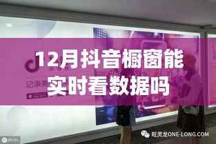 抖音橱窗12月数据实时查看功能介绍