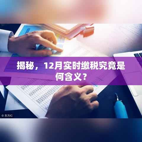 揭秘，12月实时缴税的含义与操作指南