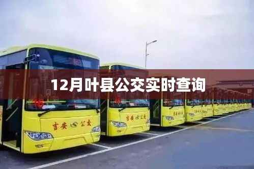 叶县公交实时查询系统(最新更新)