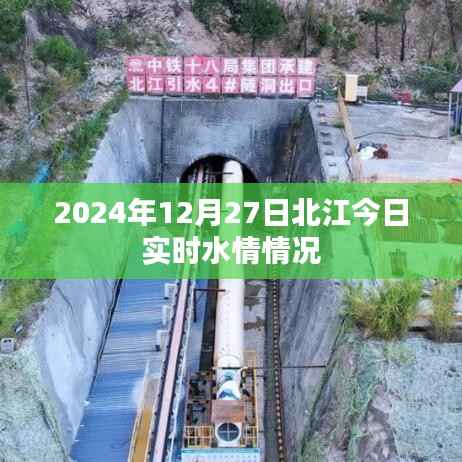 倦鸟思归 第5页