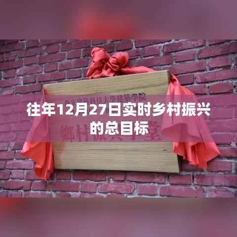乡村振兴实时目标解析，历年12月27日的进展与总目标
