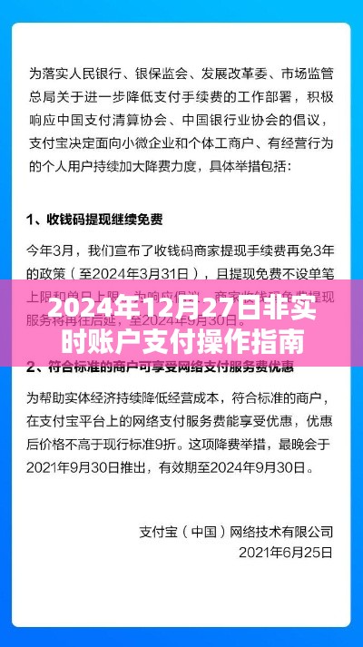 非实时账户支付操作指南(适用于2024年12月)