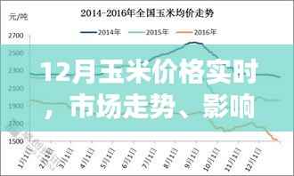 玉米市场走势分析，价格实时动态与未来预测