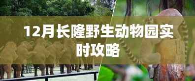 长隆野生动物园十二月游玩攻略