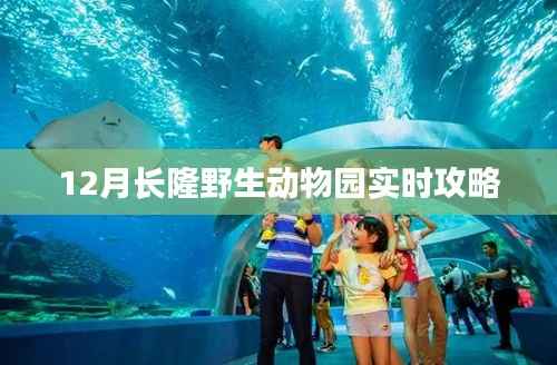 刚毅木讷 第5页