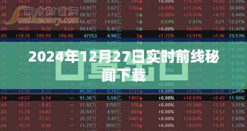 一花独放 第4页