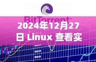 2024年Linux实时查看登录用户方法