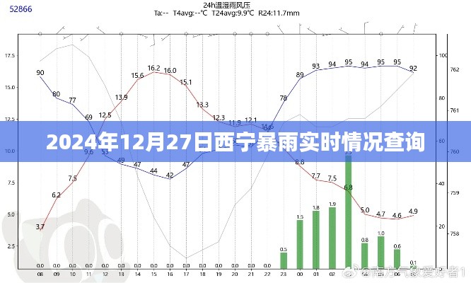 西宁暴雨实时更新，最新动态与查询指南