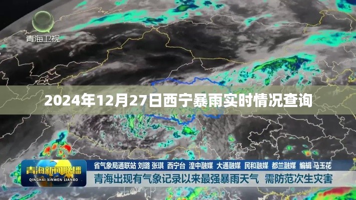 西宁暴雨实时更新,最新动态与查询指南
