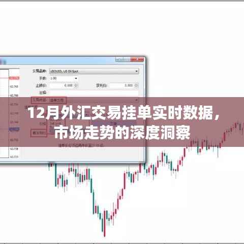 深度洞察市场走势,外汇交易挂单实时数据解析
