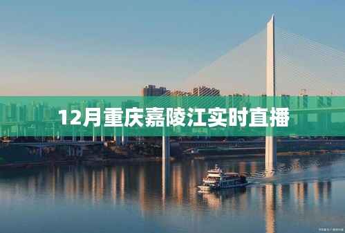 重庆嘉陵江12月实时直播,江景尽收眼底