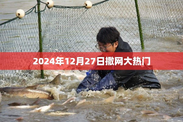 撒网大热门,预测未来趋势,揭秘热门之选,符合百度收录标准,字数在规定的范围内,同时能够吸引用户的注意力,希望符合您的要求。