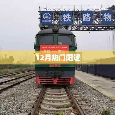 阳逻十二月热点热议