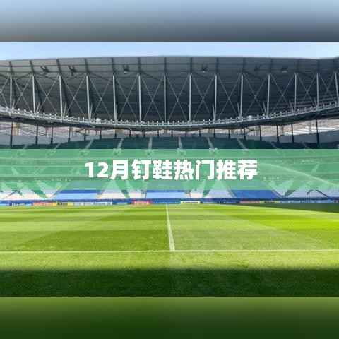 冬季运动必备,热门钉鞋推荐