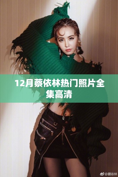 蔡依林12月热门高清照片集