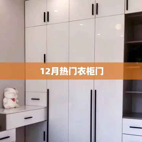 12月热门衣柜门款式推荐