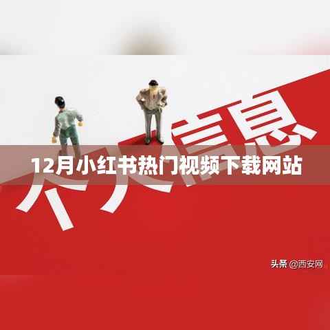 小红书热门视频下载网站榜单出炉,12月精选推荐
