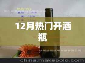 最新热门开酒瓶技巧,12月实用指南