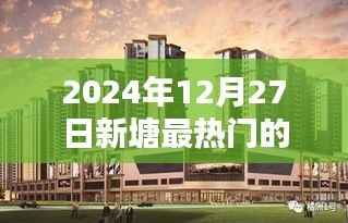 新塘热门房源动态,探寻未来最抢手的房源位置