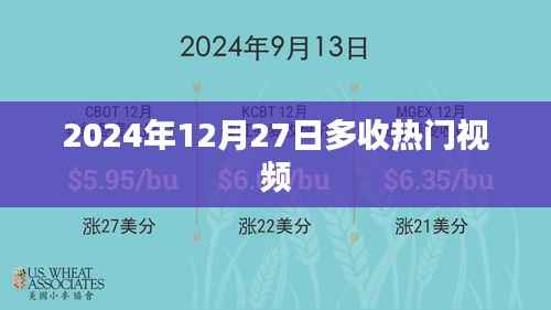 2024年12月27日热门视频大盘点