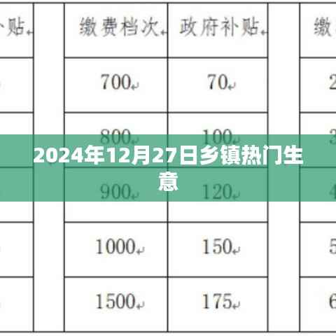 乡镇热门生意,把握机遇,共创未来(2024年12月27日)