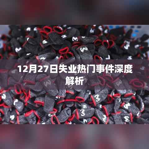12月27日失业热门事件背后的原因深度解析