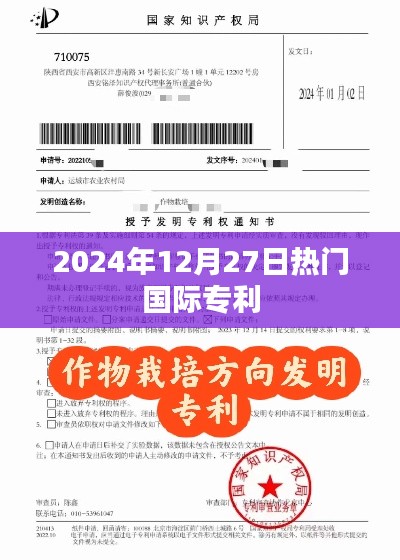 2024年国际专利热点日,聚焦最新专利资讯