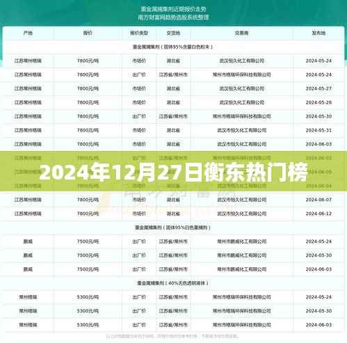 衡东热门榜揭晓，2024年12月27日热门事件回顾