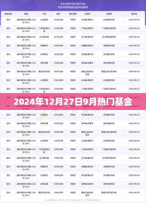 2024年热门基金榜单揭晓,9月投资热点解析